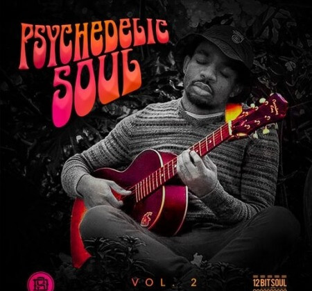 Divided Souls Psychedelic Soul Vol.2 WAV